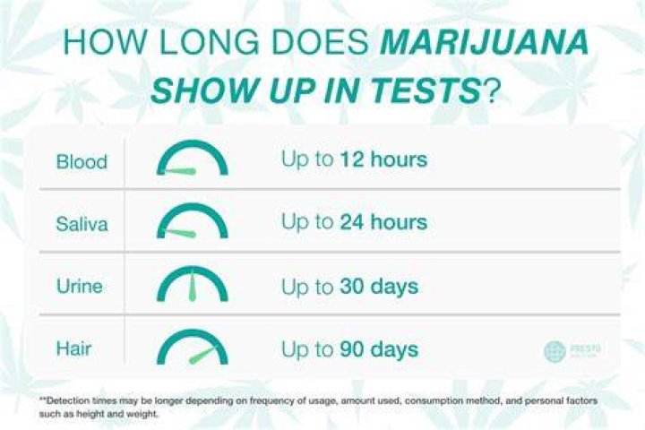 Does This Video Show the Bee Gees' Grandchildren Singing 'How Deep Is